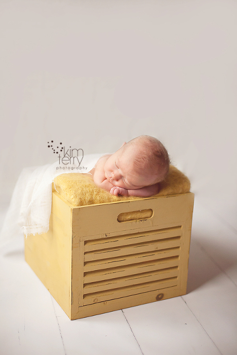Atlanta Newborn Photographer, Suwanee Newborn Photographer, Cumming Newborn Photographer, GA newborn photographer