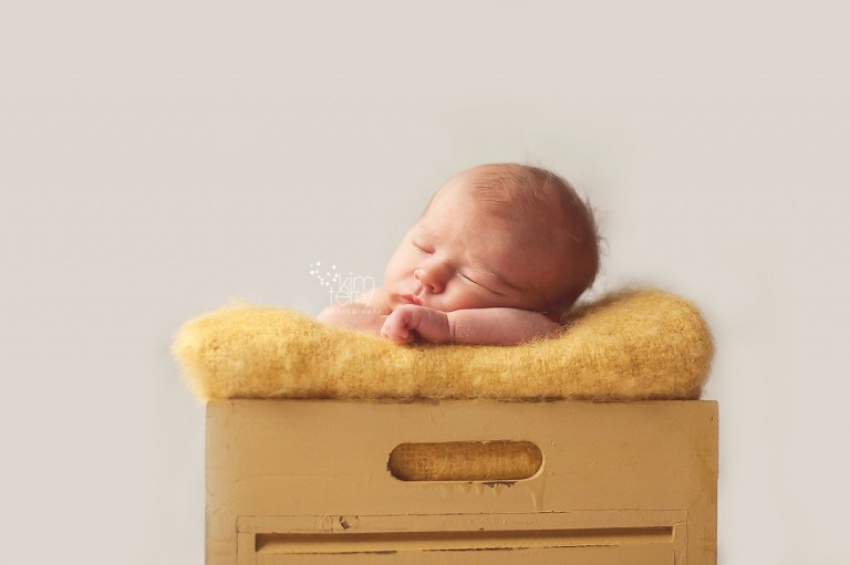 Atlanta Newborn Photographer, Suwanee Newborn Photographer, Cumming Newborn Photographer, GA newborn photographer