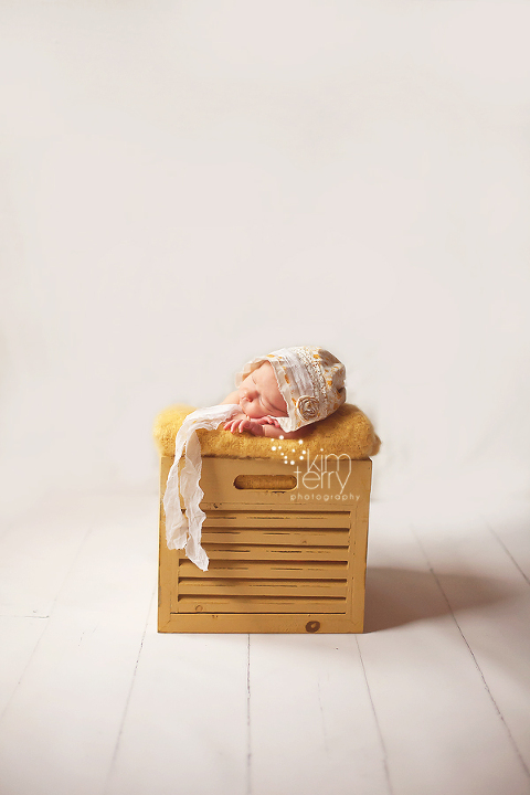 Atlanta Newborn Photographer, Suwanee Newborn Photographer, Cumming Newborn Photographer, GA newborn photographer