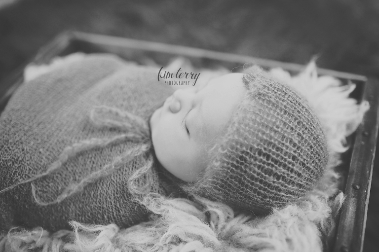 Kim Terry Photography | Newborns